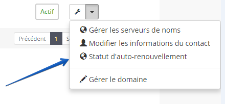 Personnalisation de votre Serveur DNS - SenHebergement